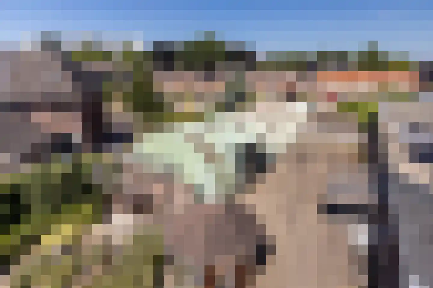 Rijksweg Noord 200 Sittard thumbnail 26