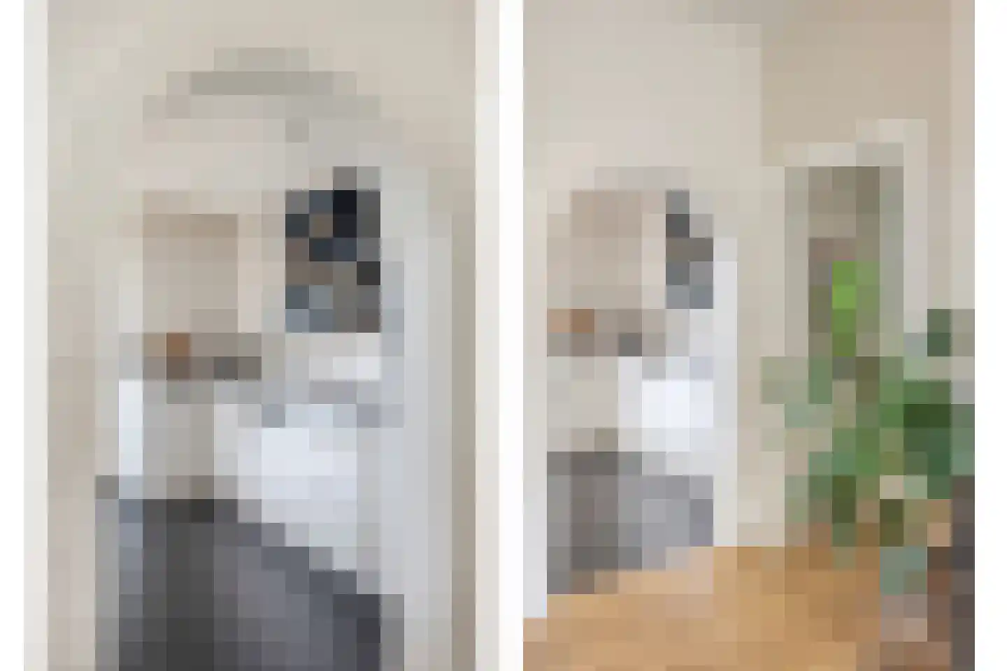 Rijksweg Noord 22 Belfeld thumbnail 10