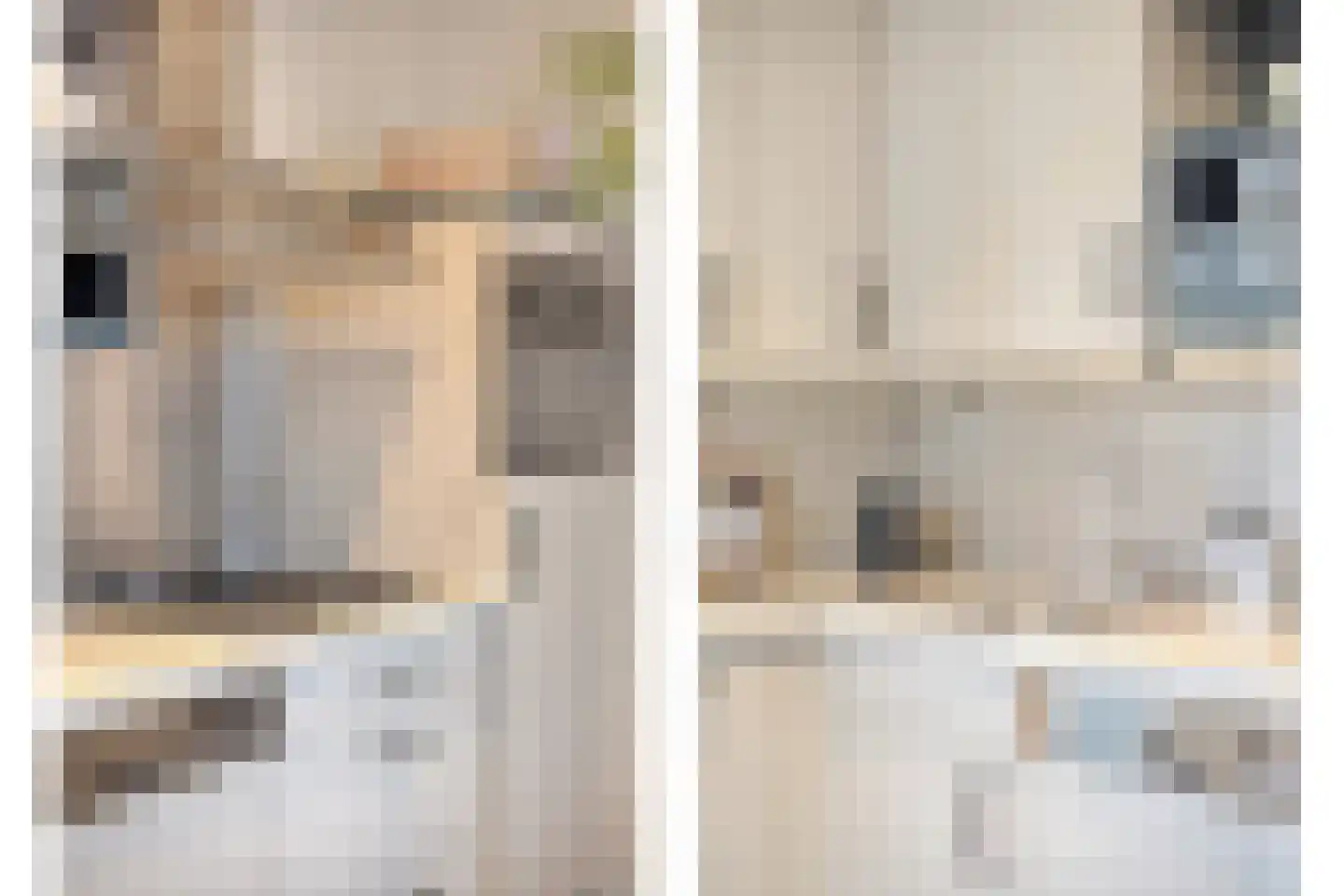Rijksweg Noord 22 Belfeld thumbnail 12