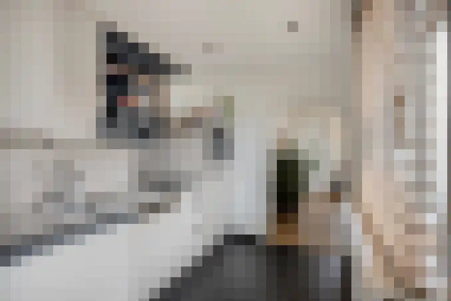 Rijksweg Noord 22 Belfeld thumbnail 15