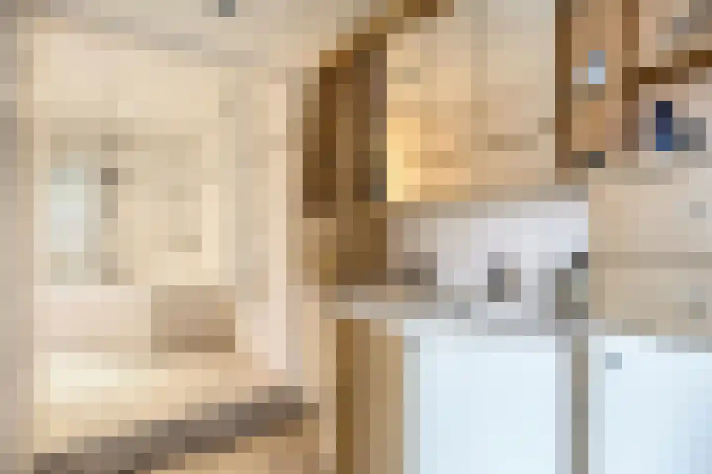 Rijksweg Noord 22 Belfeld thumbnail 17