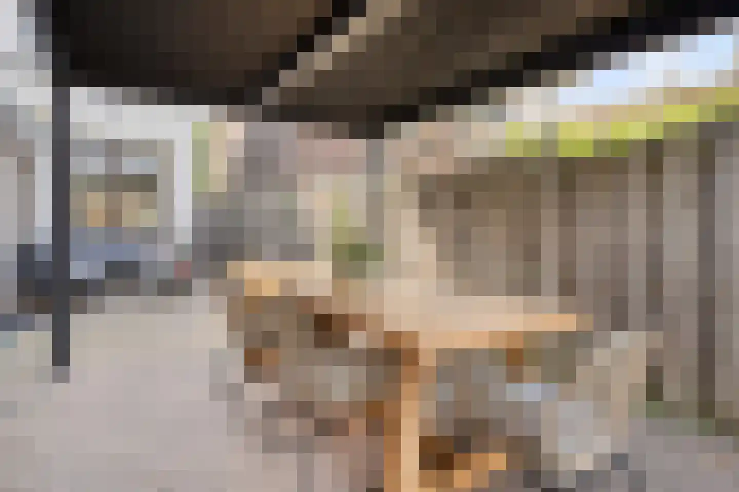 Rijksweg Noord 22 Belfeld thumbnail 37