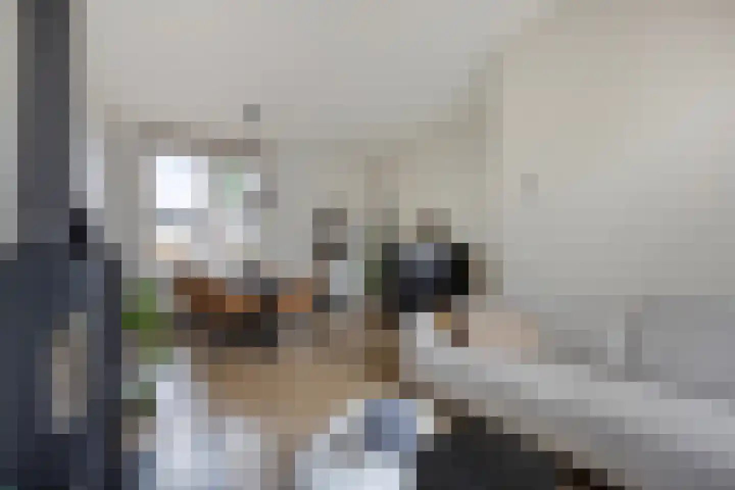 Rijksweg Noord 22 Belfeld thumbnail 7