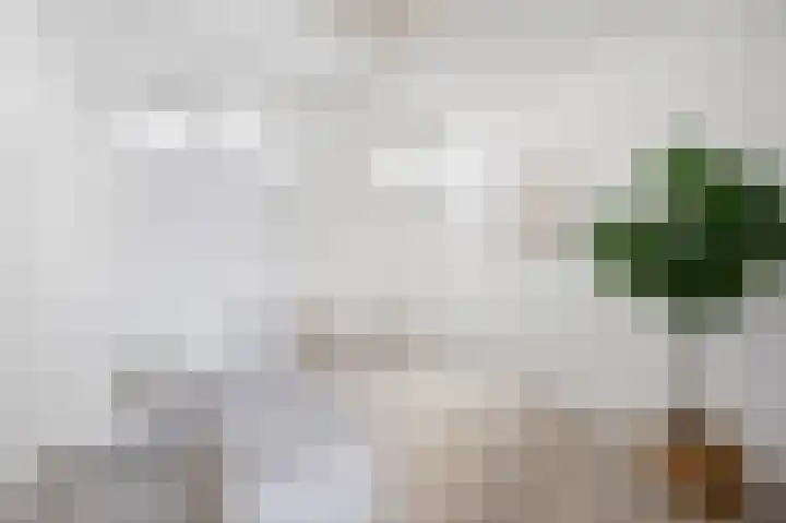 Rijksweg Noord 25 E Swalmen thumbnail 16