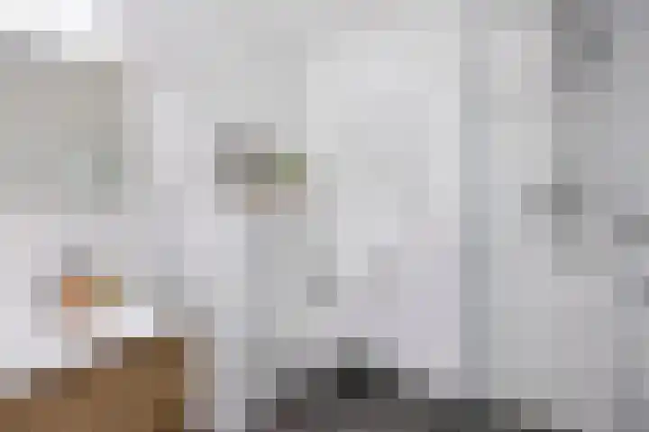 Rijksweg Noord 25 E Swalmen thumbnail 17
