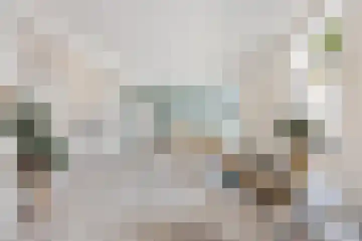 Rijksweg Noord 25 E Swalmen thumbnail 4