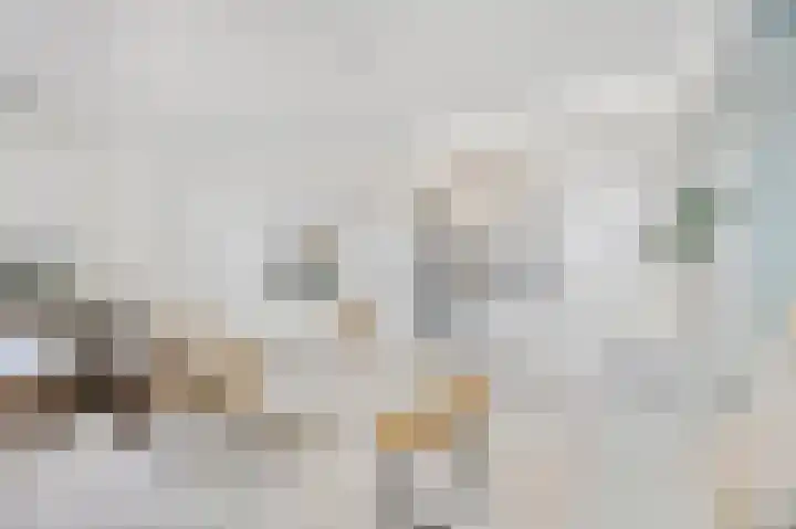 Rijksweg Noord 25 E Swalmen thumbnail 5