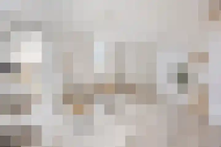 Rijksweg Noord 25 E Swalmen thumbnail 6