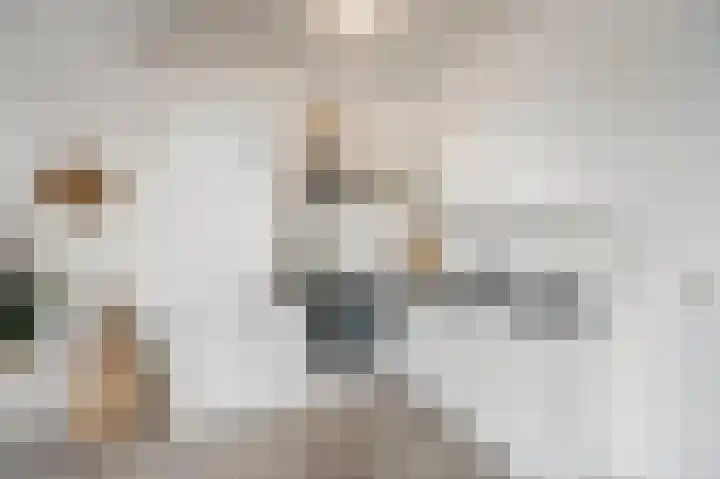 Rijksweg Noord 25 E Swalmen thumbnail 7