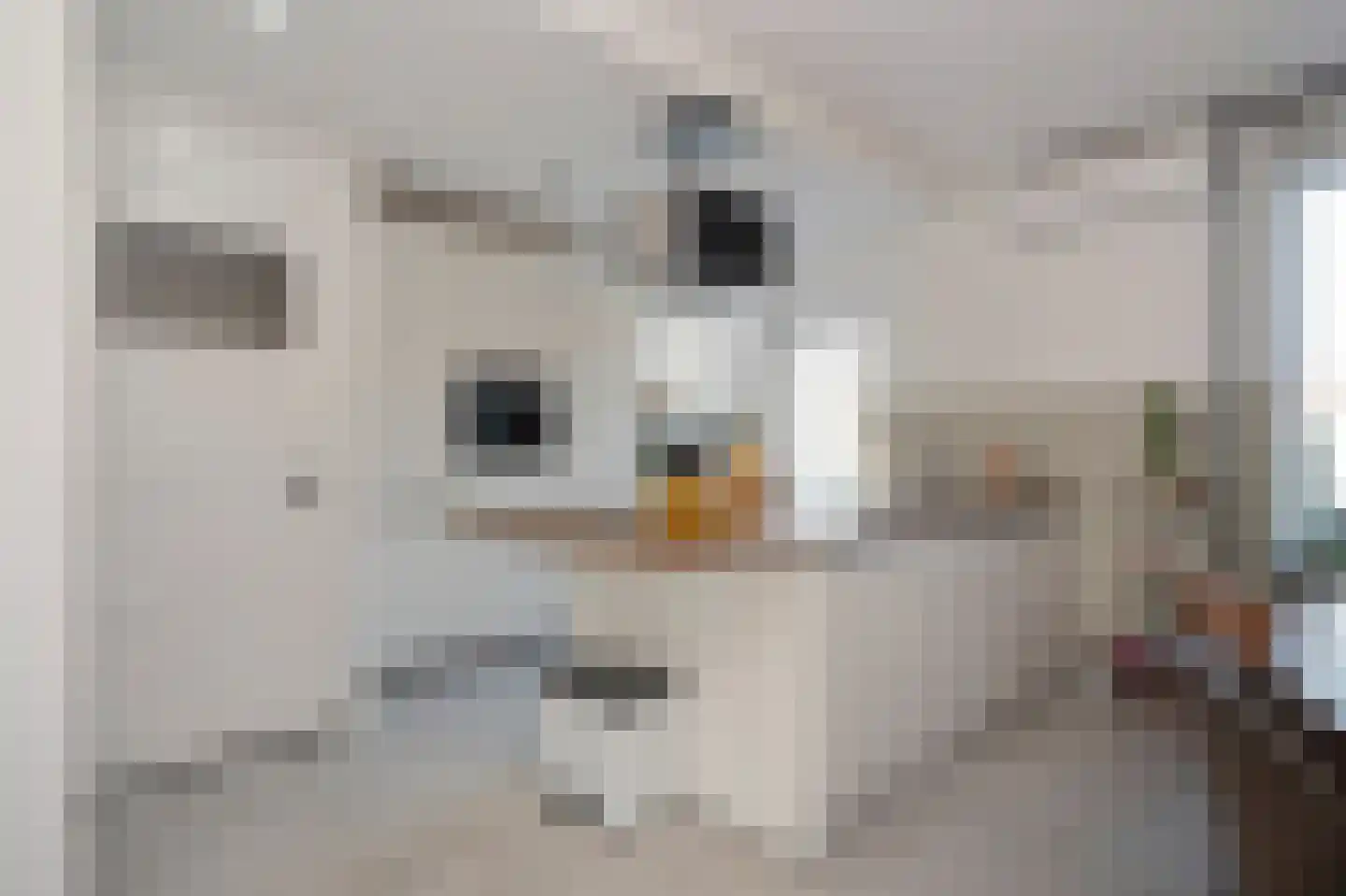 Rijksweg Noord 253 Sittard thumbnail 14