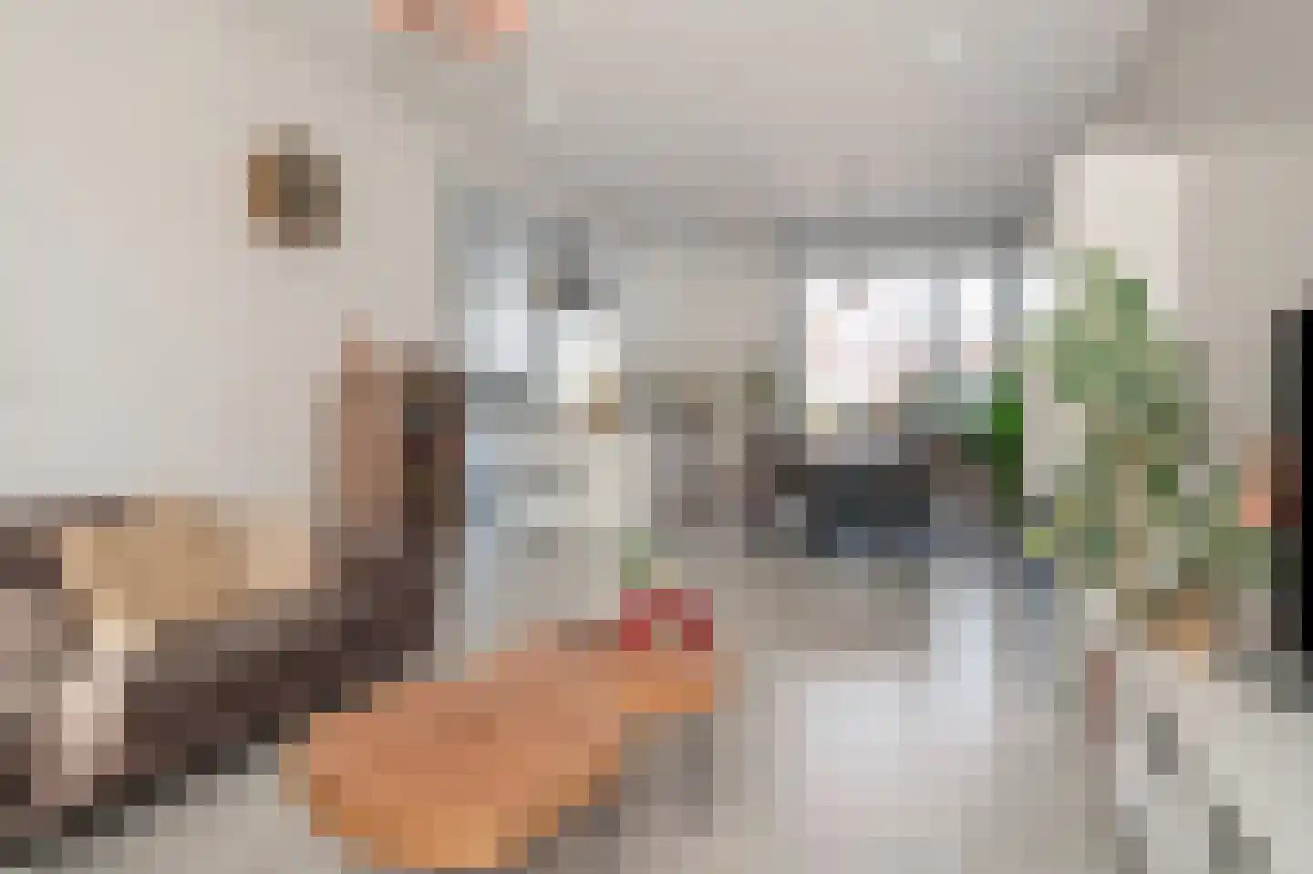 Rijksweg Noord 253 Sittard thumbnail 18