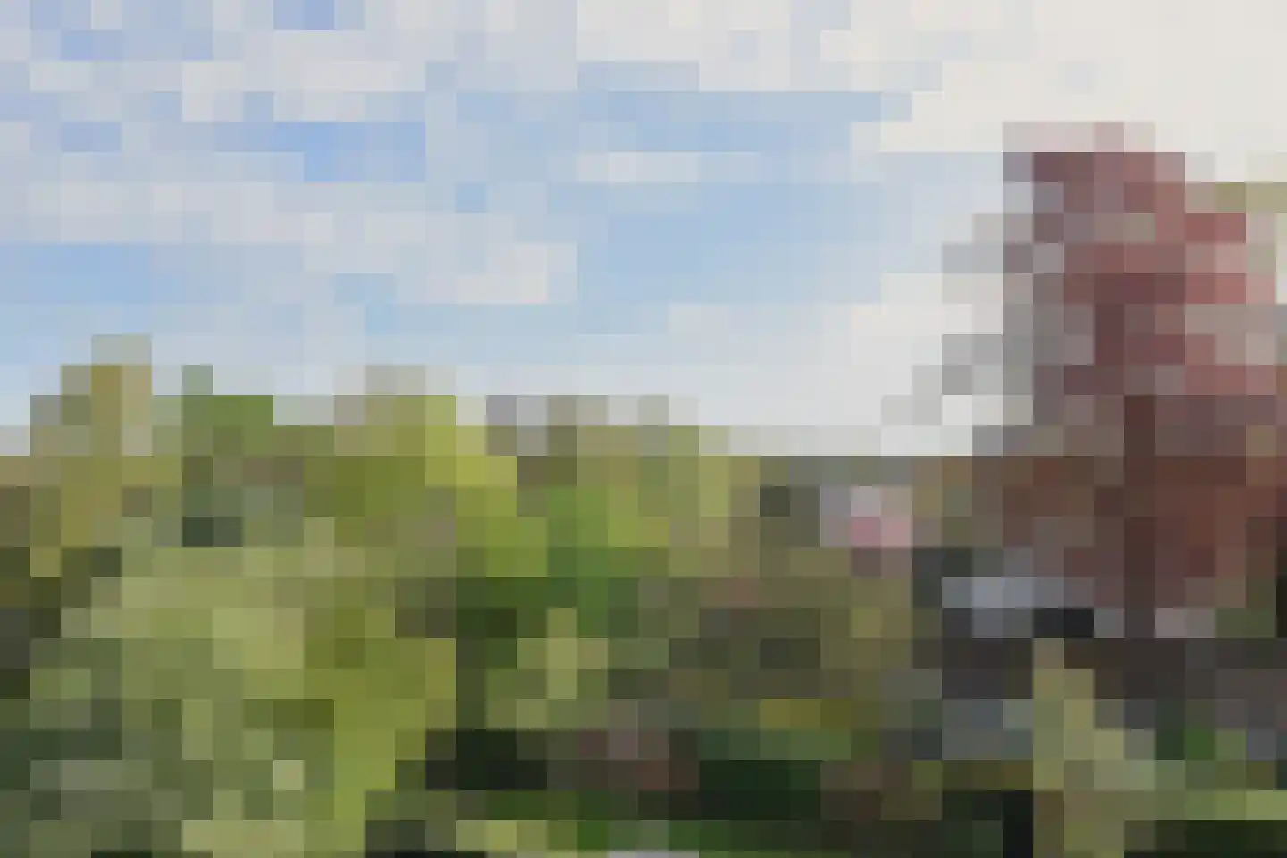 Rijksweg Noord 26 H Swalmen thumbnail 23