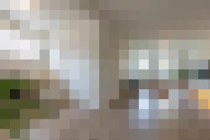 Rijksweg Noord 272 Sittard thumbnail 10