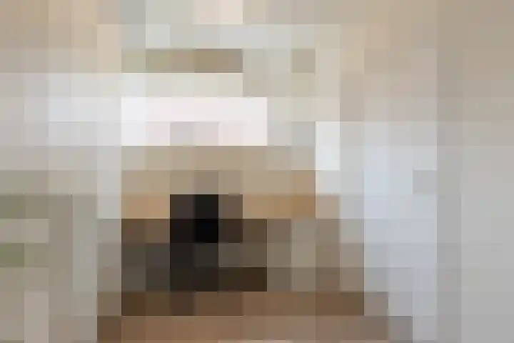 Rijksweg Noord 272 Sittard thumbnail 11