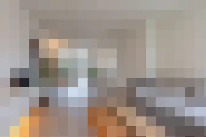 Rijksweg Noord 272 Sittard thumbnail 14