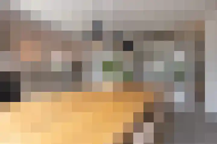 Rijksweg Noord 272 Sittard thumbnail 23