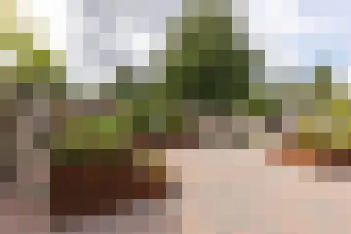 Rijksweg Noord 272 Sittard thumbnail 25