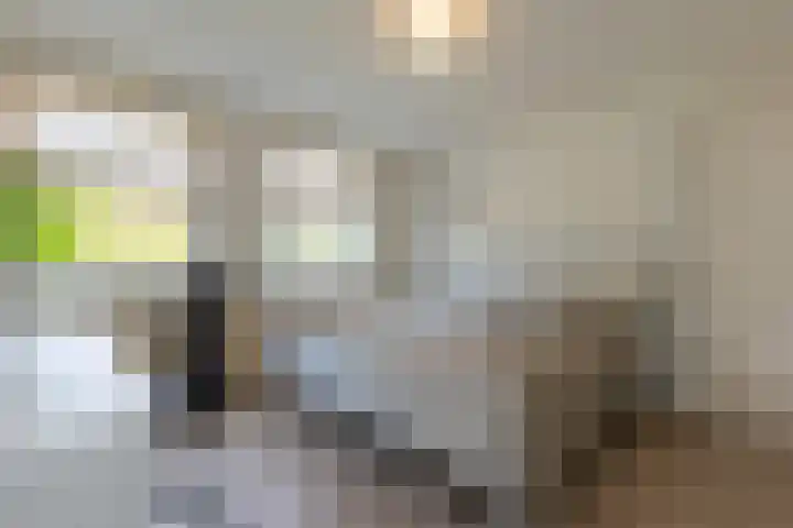 Rijksweg Noord 272 Sittard thumbnail 33