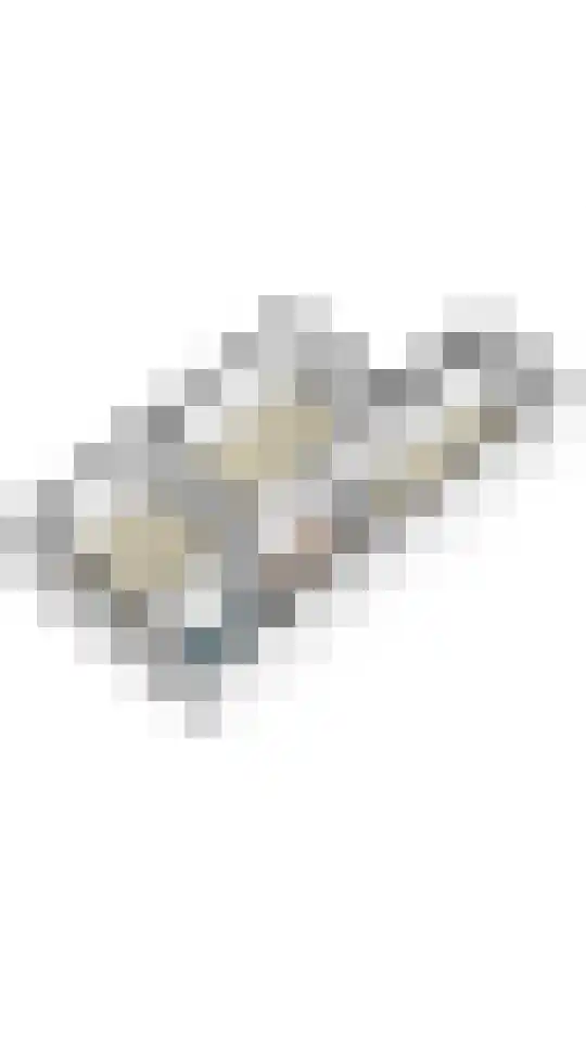 Rijksweg Noord 272 Sittard thumbnail 50