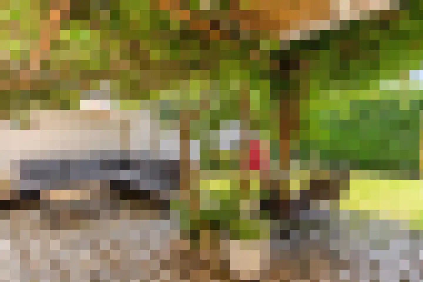 Rijksweg Noord 280 Sittard thumbnail 25