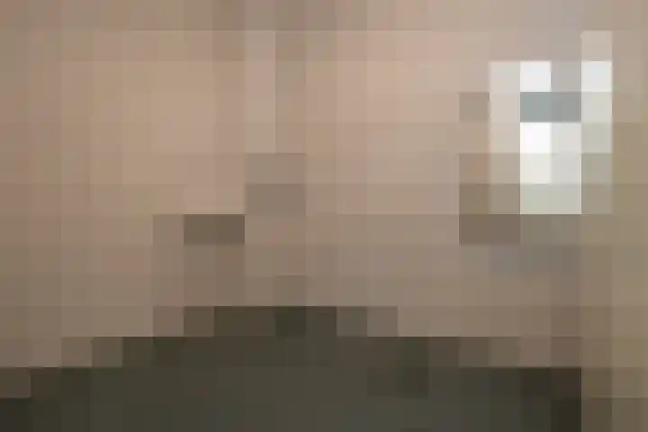 Rijksweg-Noord 3 1eV Elst thumbnail 20