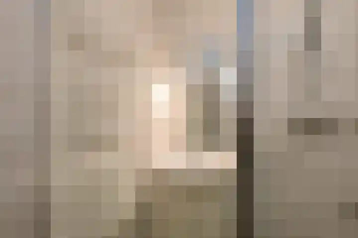 Rijksweg-Noord 3 1eV Elst thumbnail 23