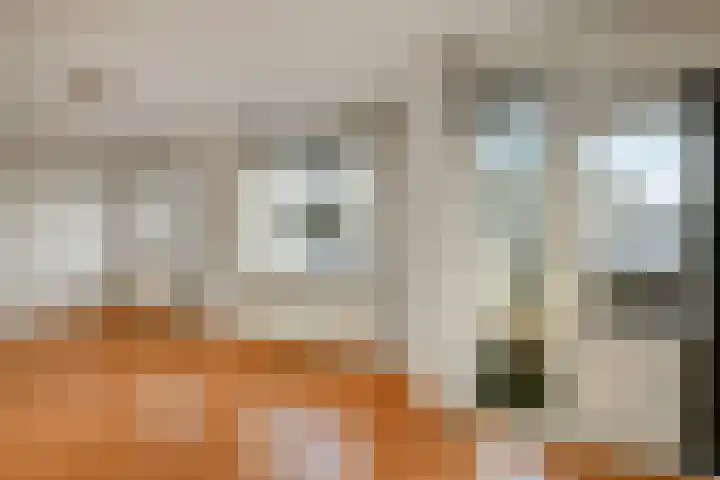 Rijksweg-Noord 3 1eV Elst thumbnail 8