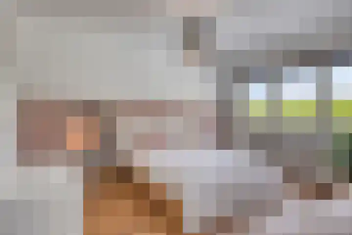 Rijksweg Noord 304 Sittard thumbnail 25
