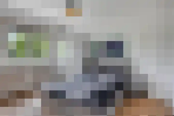 Rijksweg Noord 304 Sittard thumbnail 27