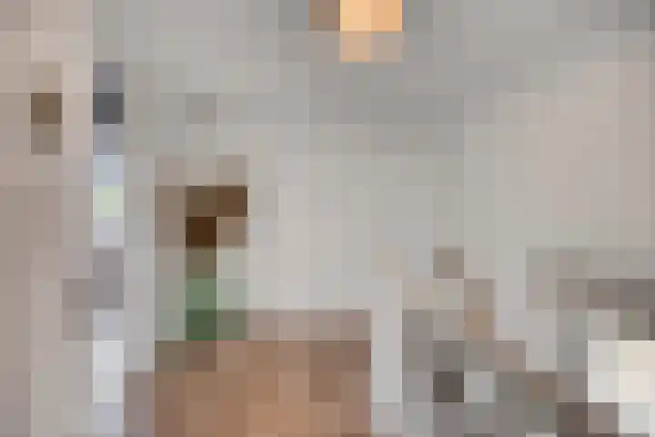 Rijksweg Noord 304 Sittard thumbnail 32