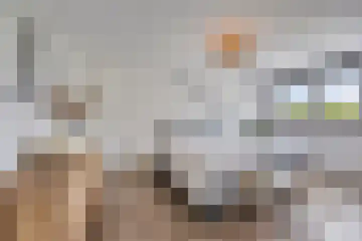 Rijksweg Noord 304 Sittard thumbnail 33