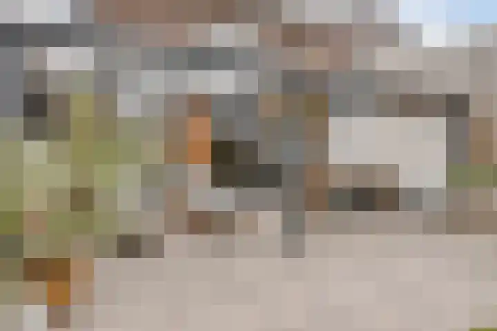 Rijksweg Noord 304 Sittard thumbnail 39