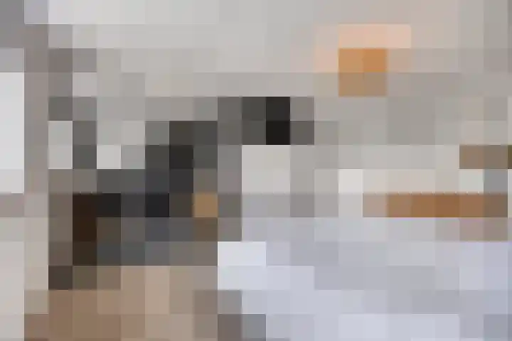 Rijksweg Noord 304 Sittard thumbnail 4