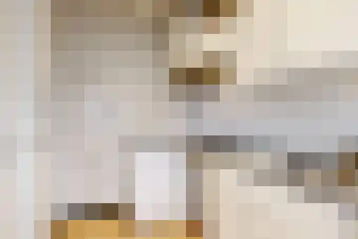 Rijksweg Noord 312 II Sittard thumbnail 11