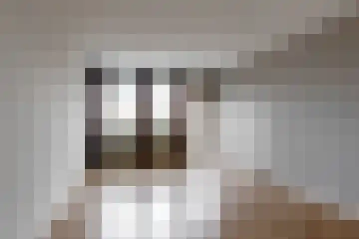 Rijksweg Noord 312 II Sittard thumbnail 9