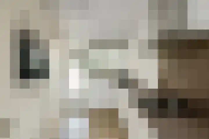 Rijksweg-Noord 32 Elst thumbnail 18