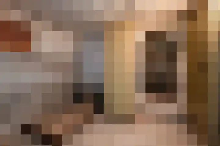 Rijksweg-Noord 32 Elst thumbnail 22