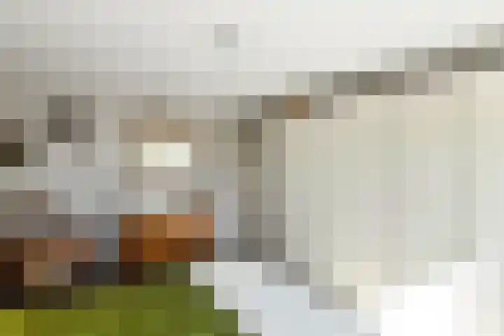 Rijksweg-Noord 32 Elst thumbnail 24