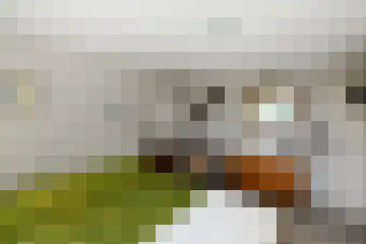 Rijksweg-Noord 32 Elst thumbnail 25