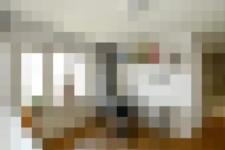 Rijksweg-Noord 32 Elst thumbnail 28