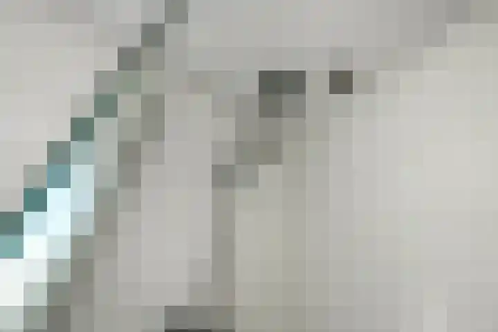 Rijksweg-Noord 32 Elst thumbnail 33