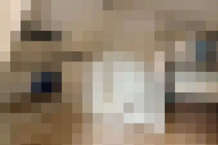 Rijksweg-Noord 32 Elst thumbnail 36