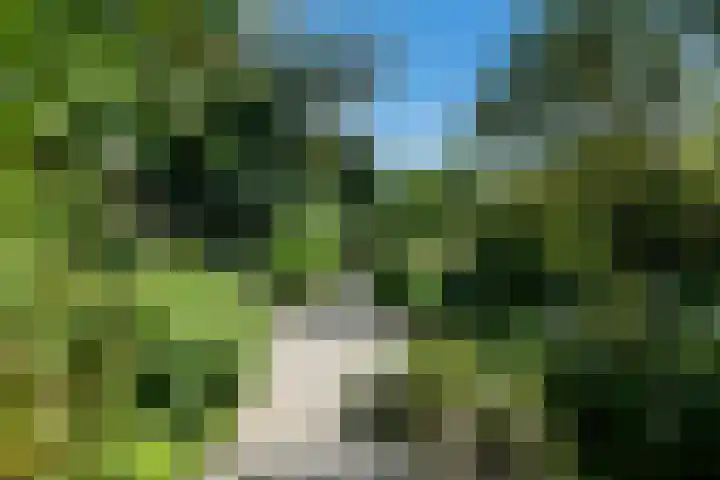 Rijksweg-Noord 32 Elst thumbnail 42