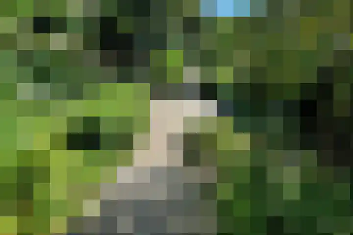 Rijksweg-Noord 32 Elst thumbnail 43