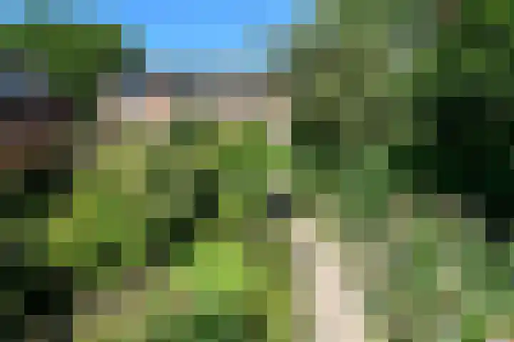 Rijksweg-Noord 32 Elst thumbnail 47