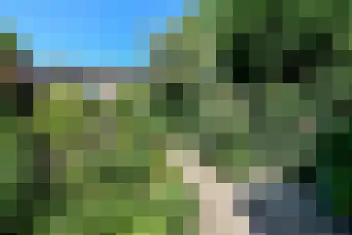 Rijksweg-Noord 32 Elst thumbnail 49