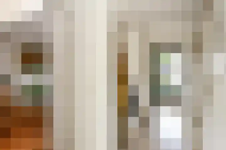 Rijksweg-Noord 32 Elst thumbnail 8