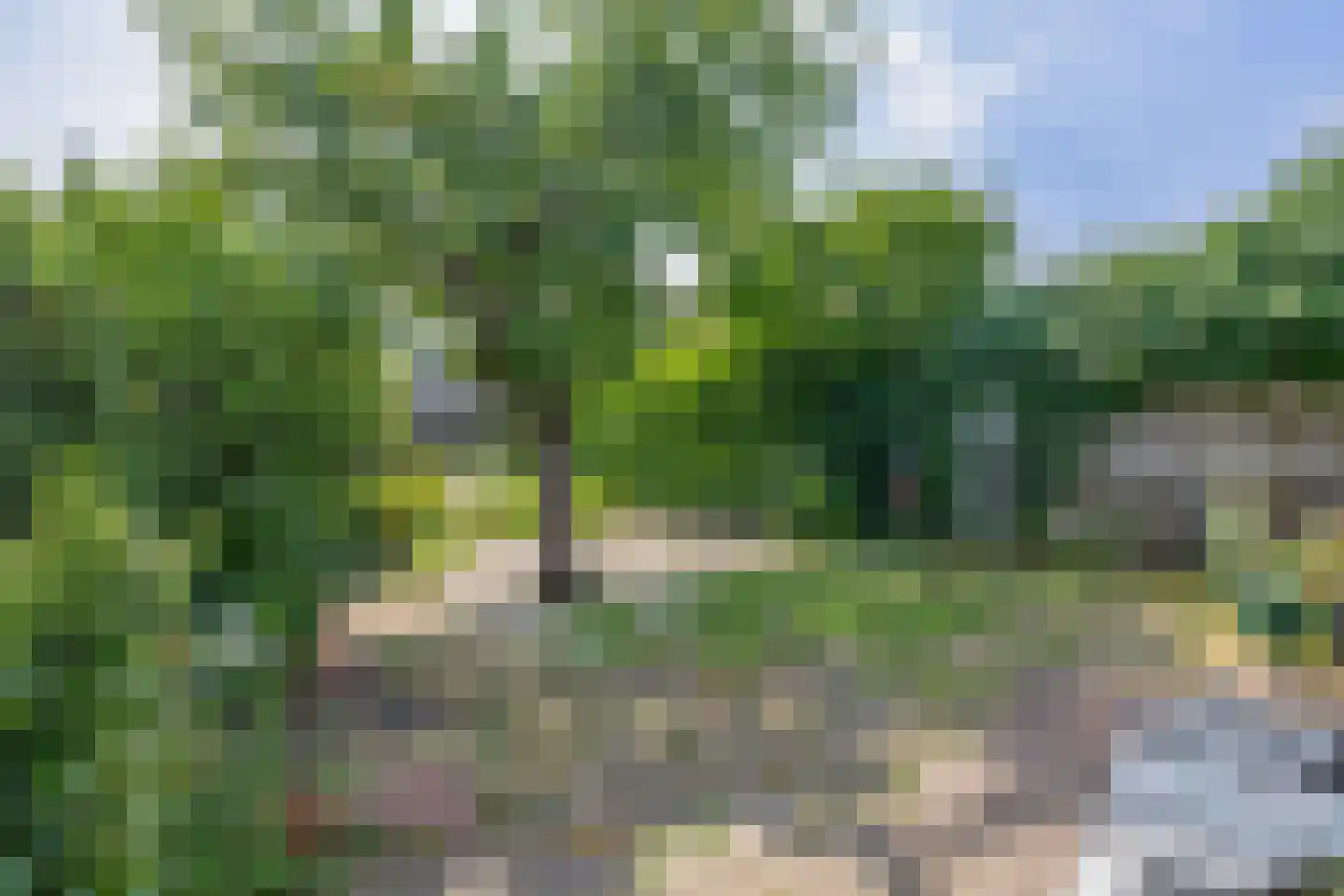 Rijksweg Noord 38 Belfeld thumbnail 19