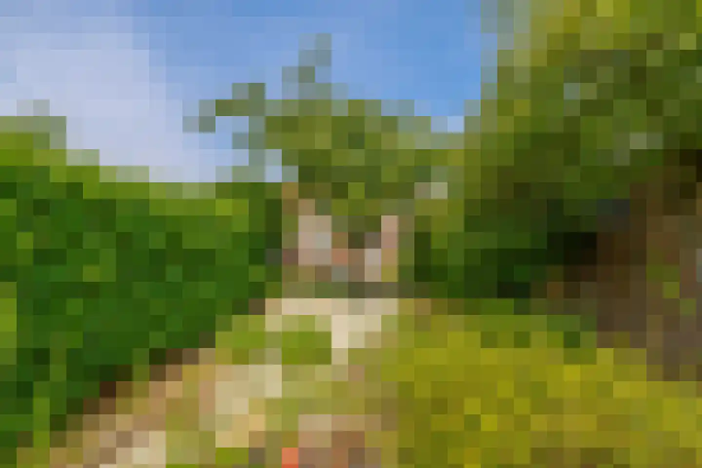 Rijksweg Noord 38 Belfeld thumbnail 21