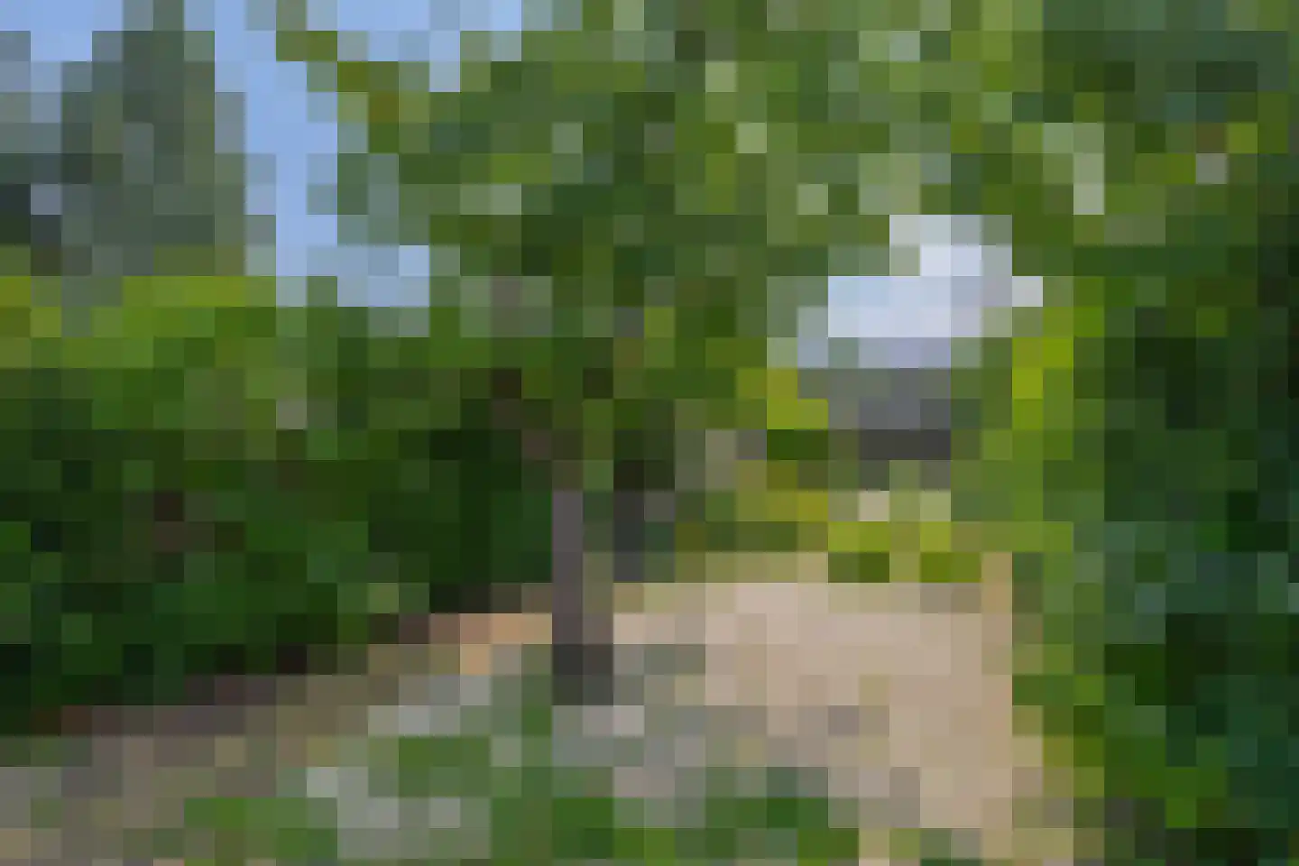 Rijksweg Noord 38 Belfeld thumbnail 4